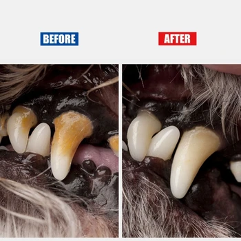Pet Tooth за скалер Скрепер Неръждаема стомана Pet зъби зъбен камък отстраняване за кучета котки стоматологичен комплект за домашни любимци куче грижа за зъбите Y5GB