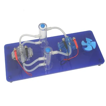 Демонстрационен инструмент за генериране на енергия от водородни и кислородни горивни клетки Ново енергийно приложение MS812-A4