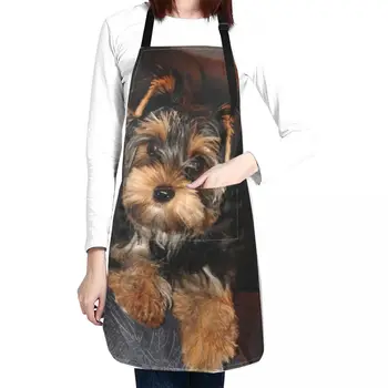 Сладък йоркширски териер куче престилка готвач аксесоари професионална кухня престилка